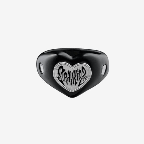 STRAY KIDS 6TH FANMEETING [STAY in Our Little House] MD | RING