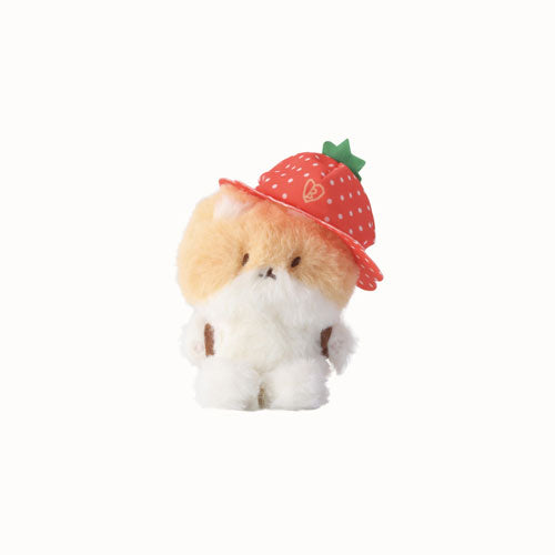 ベッキョン TEOLAEGI トレギ　10cm いちご 터래기 | TEOLAEGI [ ZIPDURI ] 10CM BERRY LOVER - Music Plaza