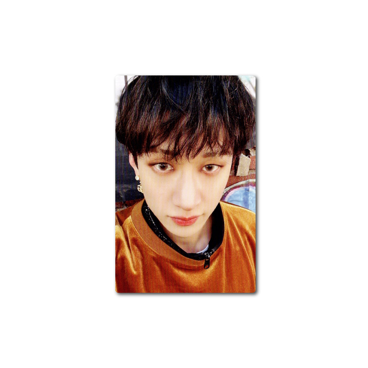 STRAY KIDS [5 STAR] (a) | (APPLE MUSIC) OFFICIAL POB PHOTOCARD