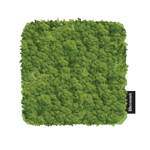 G-DRAGON 2025 WORLD TOUR IN SEOUL ENCORE MD [ COASTER ]