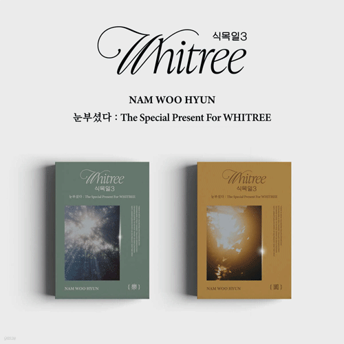 남우현 | NAM WOOHYUN THE SPECIAL PRESENT FOR WHITREE 식목일 3| USB ALBUM