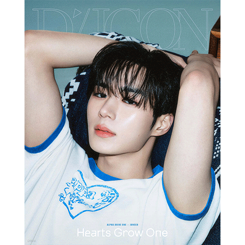 DICON VOLUME NO.33 [ ALPHA DRIVE ONE ] B-TYPE - Music Plaza