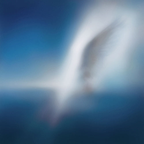 카더가든 | CAR,THE GARDEN EP ALBUM [ BLUE HEART ]