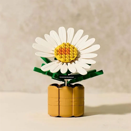 G-DRAGON 818 BLOOM [ PEACEMINUSONE X OXFORD ] LIMITED EDITION