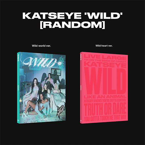캣츠아이 | KATSEYE [ WILD ] - Music Plaza