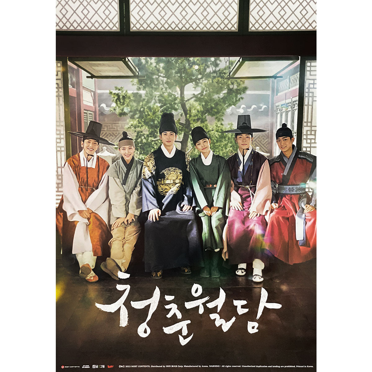 청춘월담 | OUR BLOOMING YOUTH TvN O.S.T. | (VERSION B) POSTER ONLY