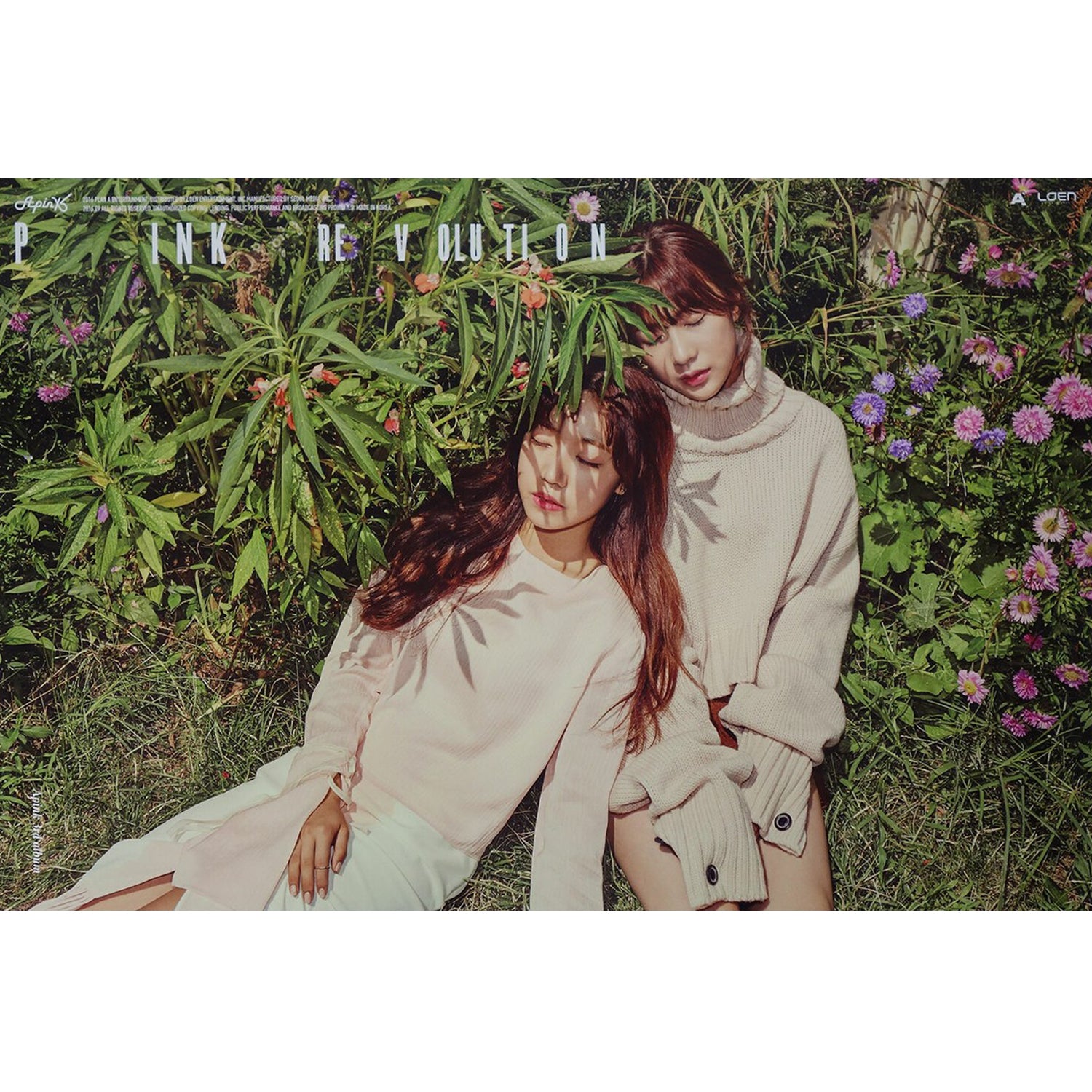 에이핑크 | APINK | 3RD ALBUM [ PINK REVOLUTION ] | POSTER ONLY