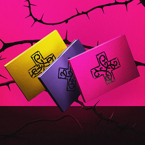 TXT [ TOMORROW X TOGETHER 7TH YEAR: A Moment of Stillness in the Thorns ]+POB