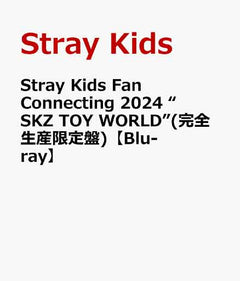 Stray Kids Fan Connecting 2024 