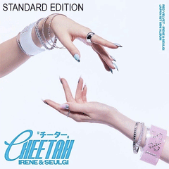 NG 1st Mini Album CD + DVD（開封済み、未使用） IRENE & SEULGI JAPAN 1ST MINI ALBUM [ CHEETAH ] DIGIPAK LIMITED