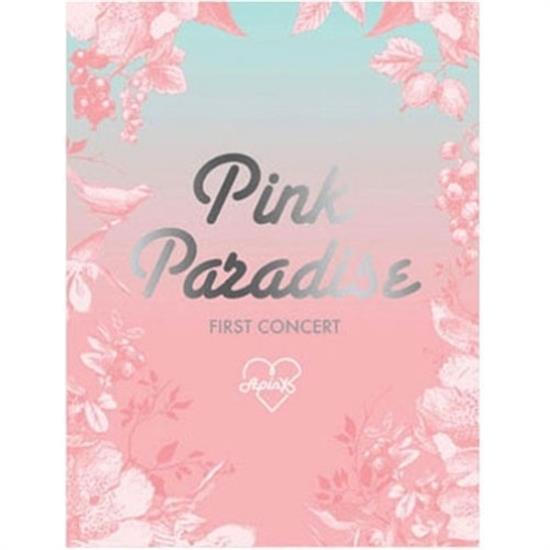 MUSIC PLAZA DVD <strong>에이핑크 | APINK</strong><br/>1ST CONCERT DVD<br/>PINK PARADISE