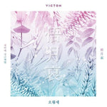 MUSIC PLAZA CD 빅톤 | VICTON | 1st Single Album - 오월애 俉月哀