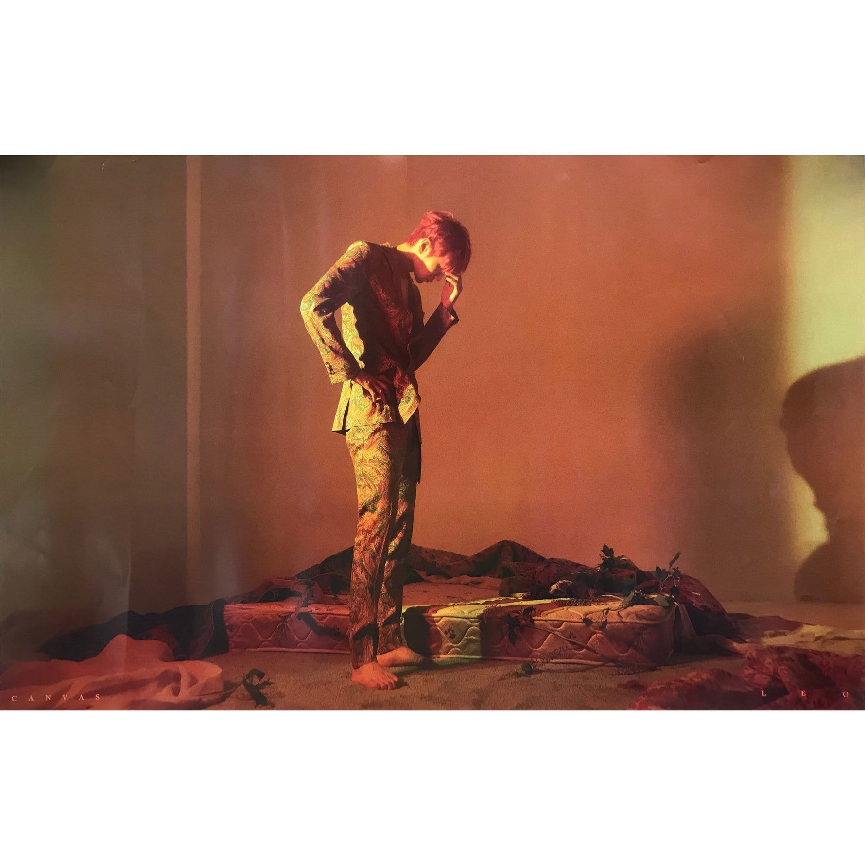 MUSIC PLAZA Poster B version LEO | VIXX | 1st mini album - CANVAS  | POSTER