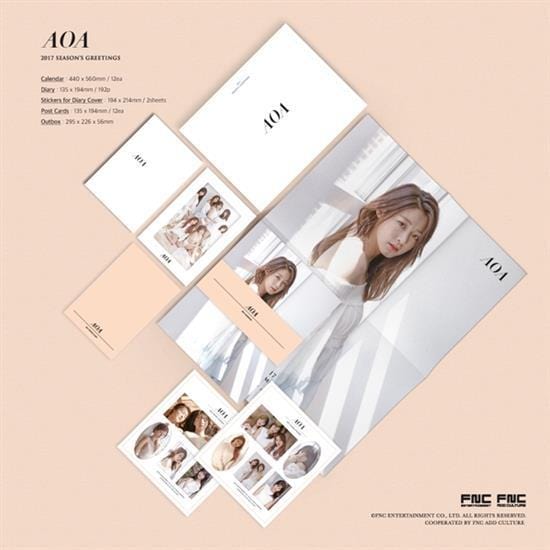 MUSIC PLAZA CD 에이오에이 | AOA</strong><br/>2017 SEASON''S GREETING<br/>
