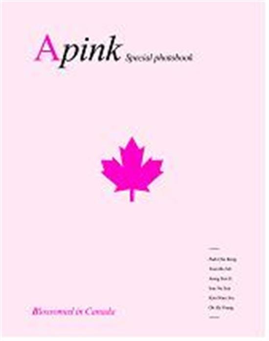 MUSIC PLAZA CD <strong>에이핑크 | APink</strong><br/>Special Photo Book