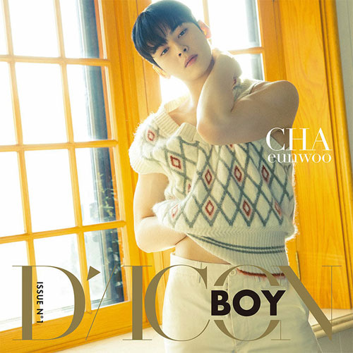 디아이콘 | D-ICON BOY ISSUE N.1 [ CHA EUNWOO ] B VER. ( PICTORIAL NOTE + ECO BAG + PHOTOCARD )