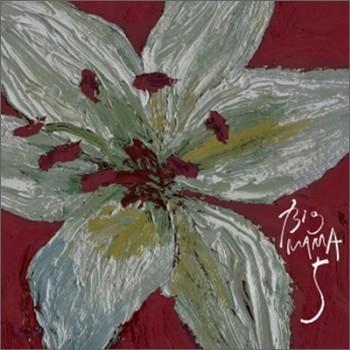 MUSIC PLAZA CD 빅마마 Big Mama | 5집-5</strong><br/>
