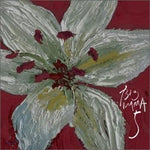 MUSIC PLAZA CD 빅마마 Big Mama | 5집-5</strong><br/>