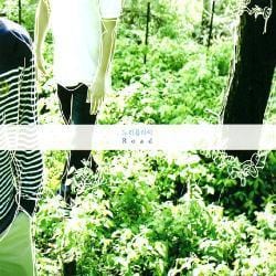 MUSIC PLAZA CD 노리플라이 (No Reply) | Road - Vol.1