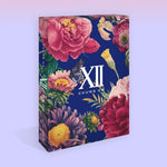 MUSIC PLAZA CD CD ONLY Chung Ha | 청하 | 2ND SINGLE ALBUM [ 벌써 12시 GOTTA GO ]