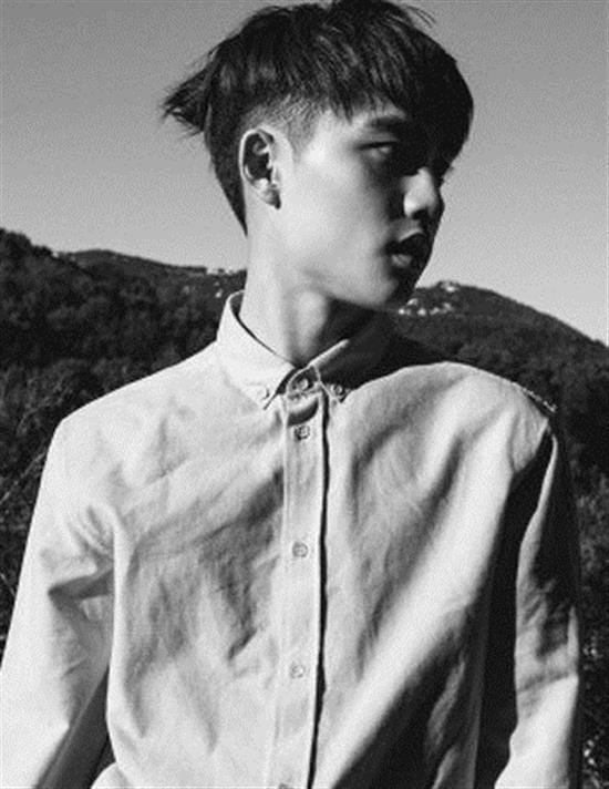 MUSIC PLAZA Poster EXO | 엑소 | 디오 | D.O EXODUS 24" X 35.5"