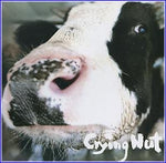 MUSIC PLAZA CD <strong>크라잉넛 Crying Nut | 5집-OK목장의 젖소</strong><br/>