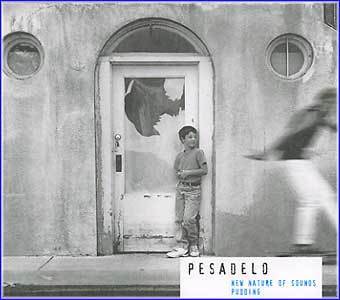 MUSIC PLAZA CD <strong>푸딩 Pudding | Pesadelo-New Nature of Sounds</strong><br/>