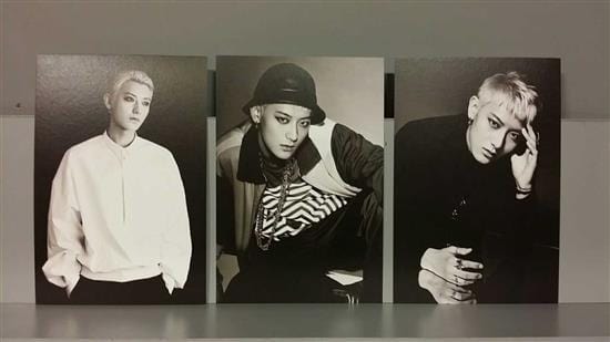 MUSIC PLAZA Goods EXO | 엑소 | TAO / EXO 4.5" X 6.8"