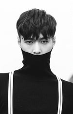 MUSIC PLAZA Poster EXO | 엑소 | 레이 | LAY EXODUS 24" X 35.5"