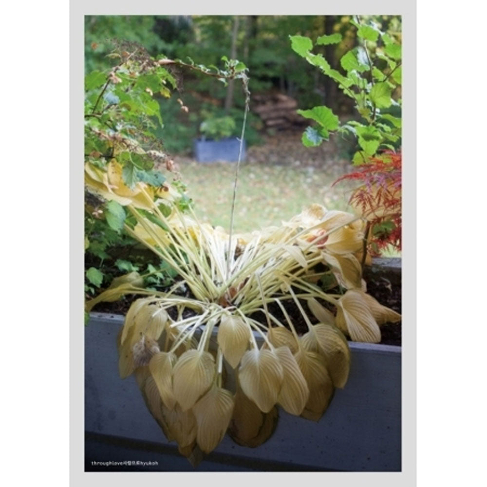 혁오 | HYUK OH 4TH MINI ALBUM [ THROUGH LOVE ]