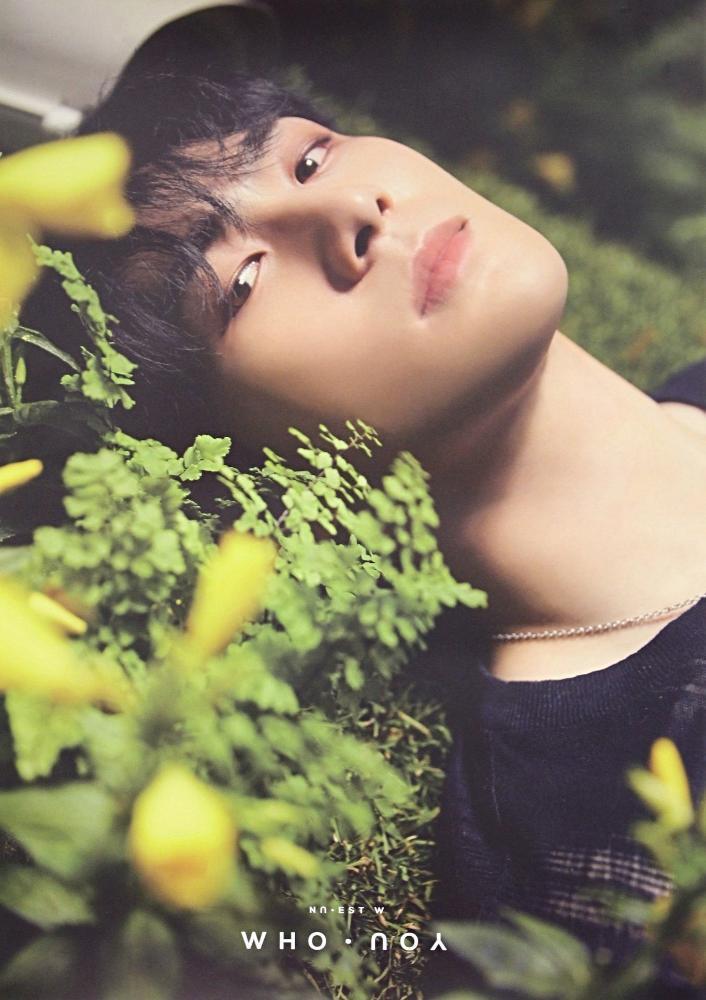 MUSIC PLAZA Poster Nu'est "WHO YOU" Album BaekHo - POSTER