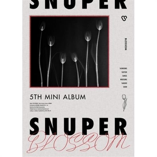 MUSIC PLAZA CD Snuper | 스누퍼 5th Mini Album - Blossom