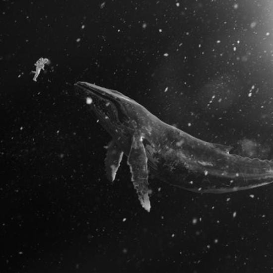 MUSIC PLAZA CD EXO | 엑소 | Sing For You Album [KOREAN Ver.]