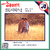 MUSIC PLAZA CD 해바라기 Sunflower | 골든디럭스 2집