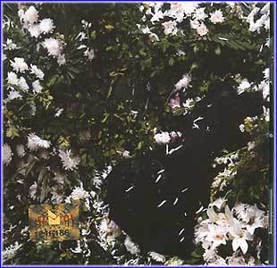 MUSIC PLAZA CD <strong>줄리아 하트 Julia Hart | 3집-당신은 울기위해  태어난 사람</strong><br/>