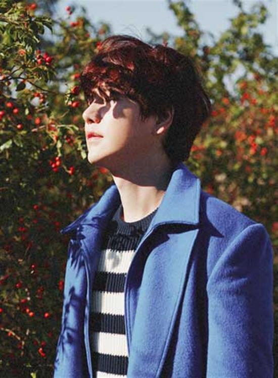 MUSIC PLAZA Poster KYUHYUN | 규현 / 슈퍼주니어 | / SUPER JUNIOR A MILLION PIECES ALBUM POSTER VERSION A