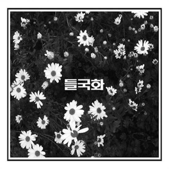 MUSIC PLAZA CD 들국화 | DEULGOOKHWA들국화BEST