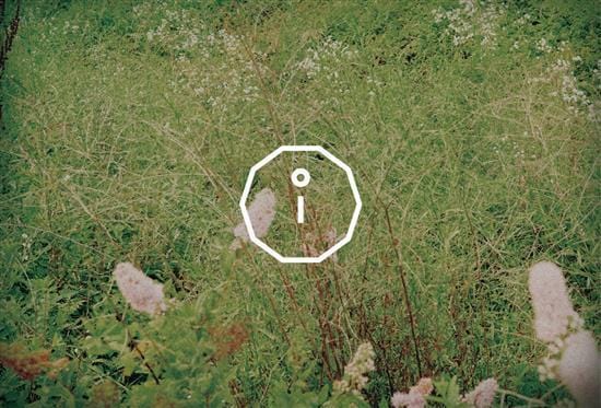 MUSIC PLAZA CD B1A4 | 비원에이포 | 6th Mini Album - Sweet Girl