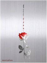 MUSIC PLAZA CD B.A.P | 비에이피 | 6TH SINGLE ALBUM - ROSE | A VERSION