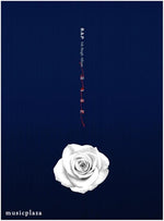 MUSIC PLAZA CD B.A.P | 비에이피 | 6TH SINGLE ALBUM - ROSE<font color=blue> B VERSION</font>