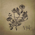 MUSIC PLAZA CD 들국화 | Deulgookhwa2011 REMAKE