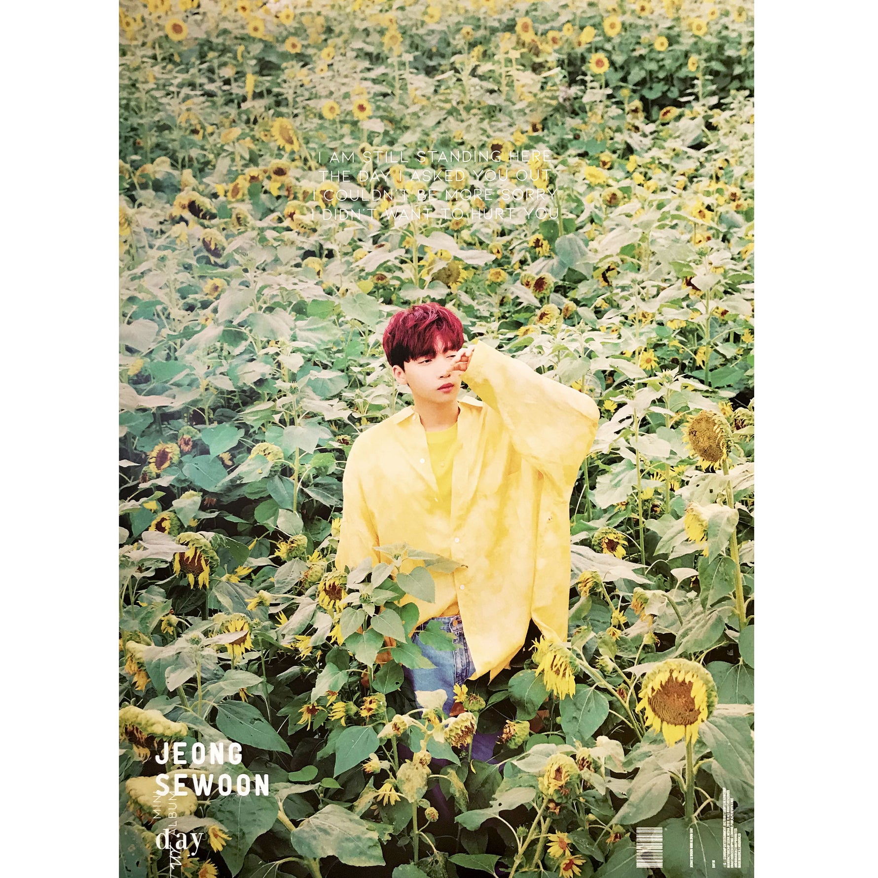 정세운 | JEONG SEWOON | MINI ALBUM [DAY] (DAY-IN VER.) POSTER ONLY