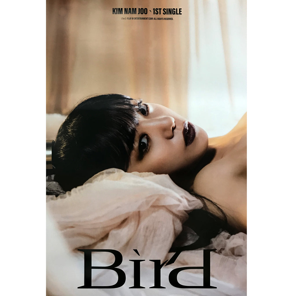 김남주 | KIM NAMJOO | 1ST SINGLE ALBUM [ BIRD ] | (A VER.) POSTER ONLY