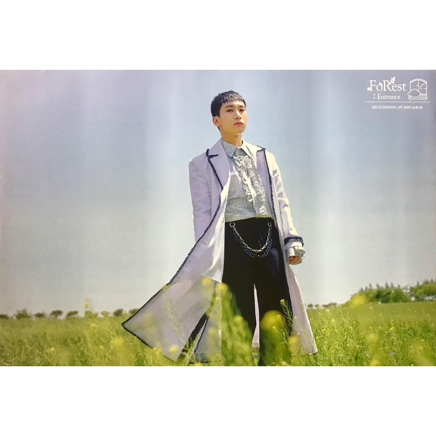 서은광 | SEO EUNKWANG | 1ST MINI ALBUM [ FOREST: ENTRANCE ] | (SILVER - B VER.) POSTER ONLY