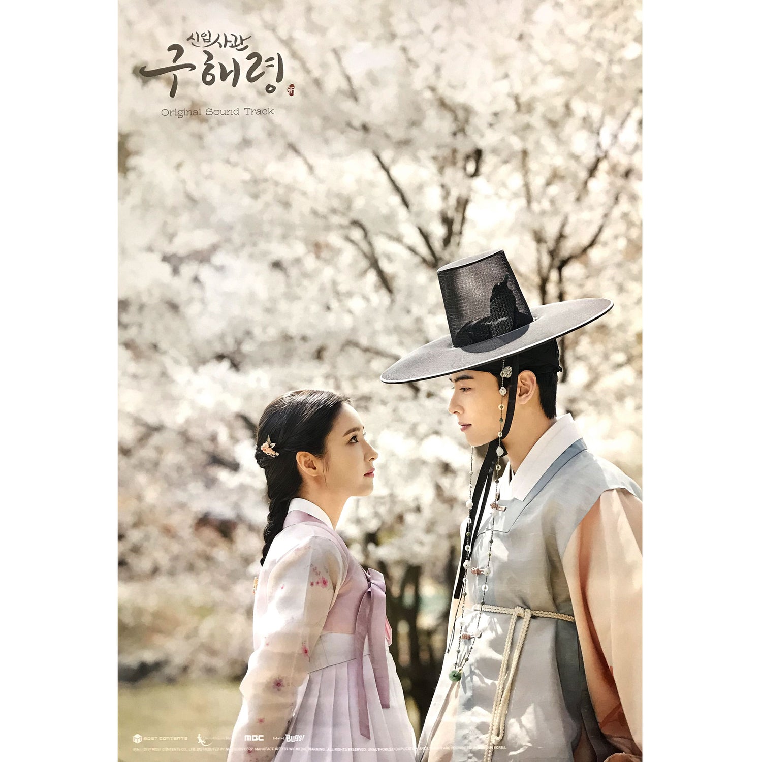 신입사관 구해령 | ROOKIE HISTORIAN GOO HAERYUNG O.S.T. | POSTER ONLY