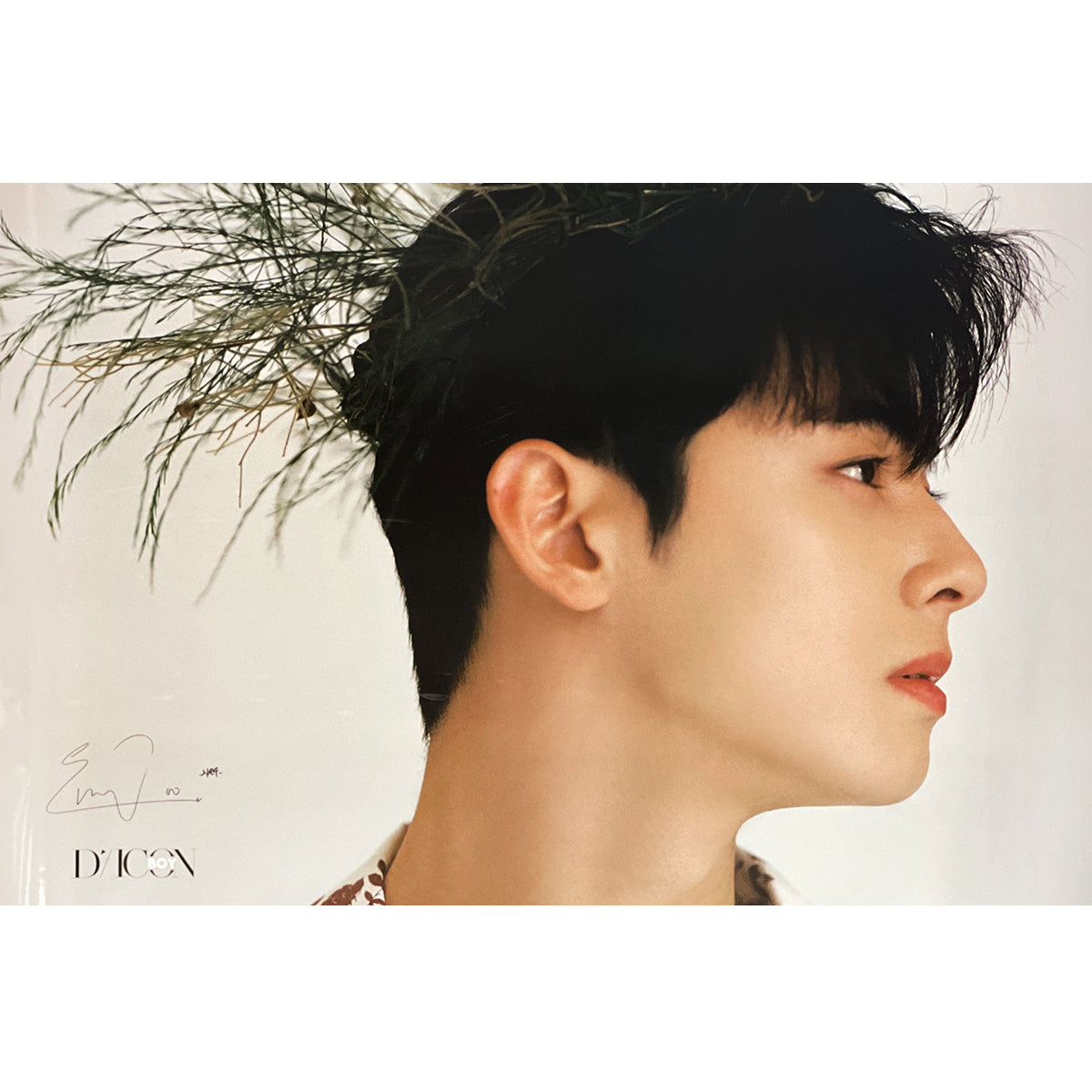 D-ICON BOY ISSUE N.1 | [ CHA EUNWOO ] COVER | (VER. A) POSTER ONLY