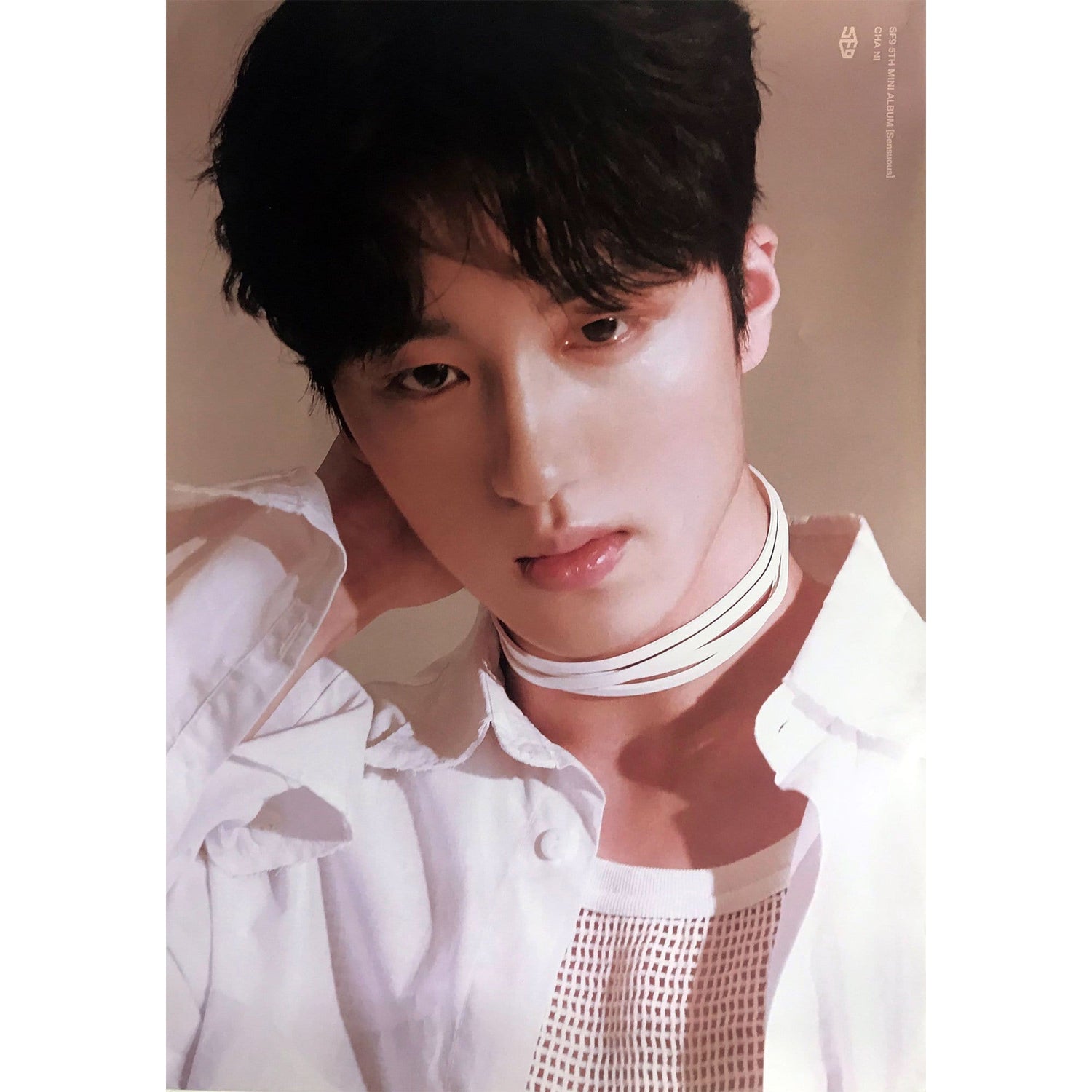 MUSIC PLAZA Poster SF9 | CHA NI - POSTER