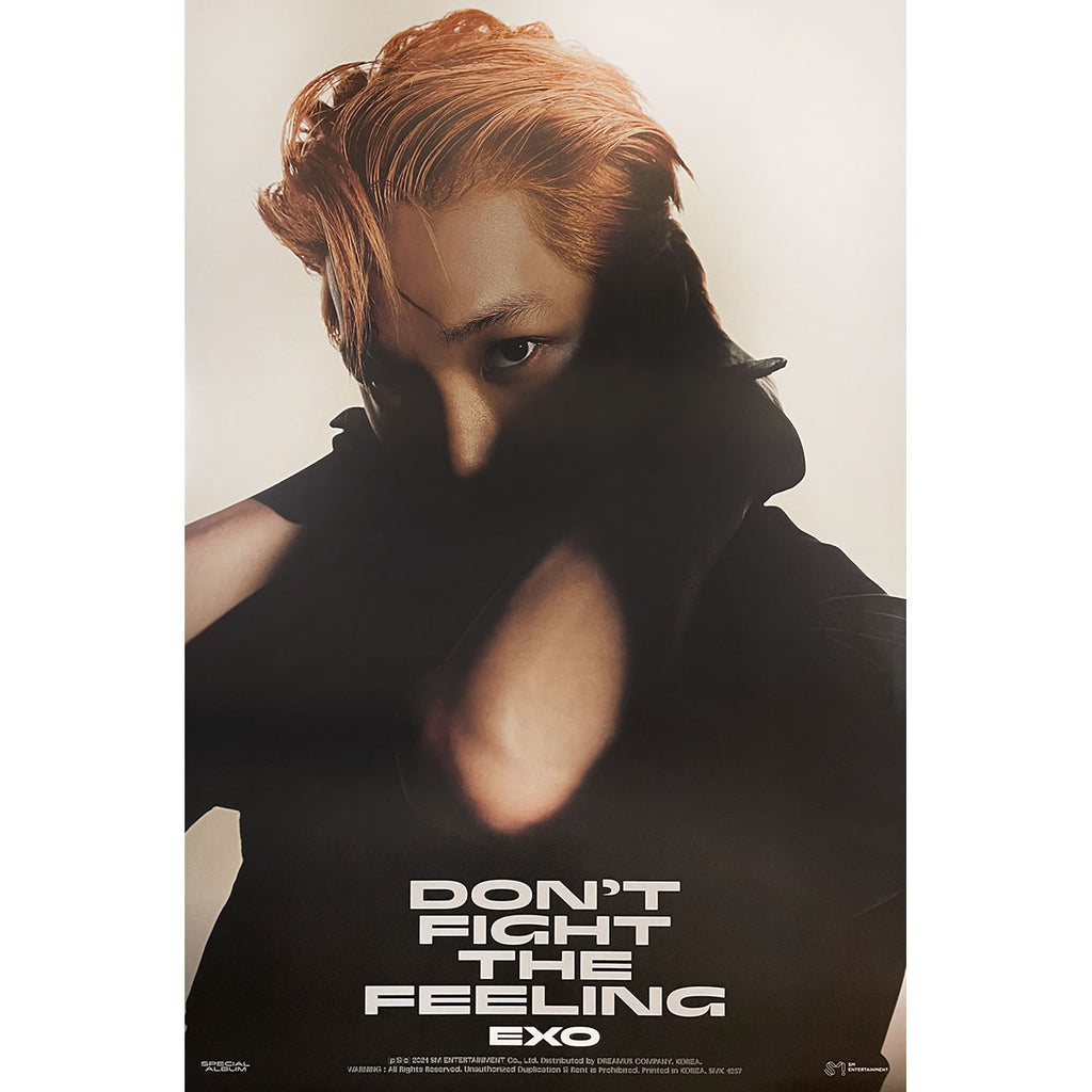 엑소 | EXO | SPECIAL ALBUM [ DON'T FIGHT THE FEELING ] | (JEWEL CASE - KAI VER.) POSTER ONLY