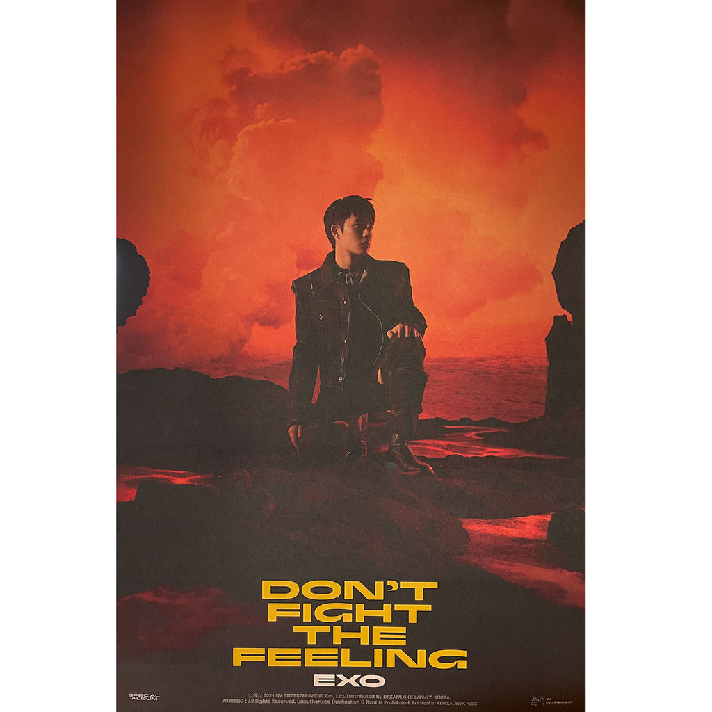 엑소 | EXO | SPECIAL ALBUM [ DON'T FIGHT THE FEELING ] | (PHOTO BOOK VER.1 - D.O. VER.) POSTER ONLY