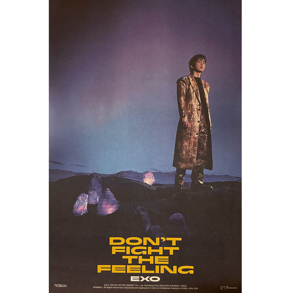 엑소 | EXO | SPECIAL ALBUM [ DON'T FIGHT THE FEELING ] | (PHOTO